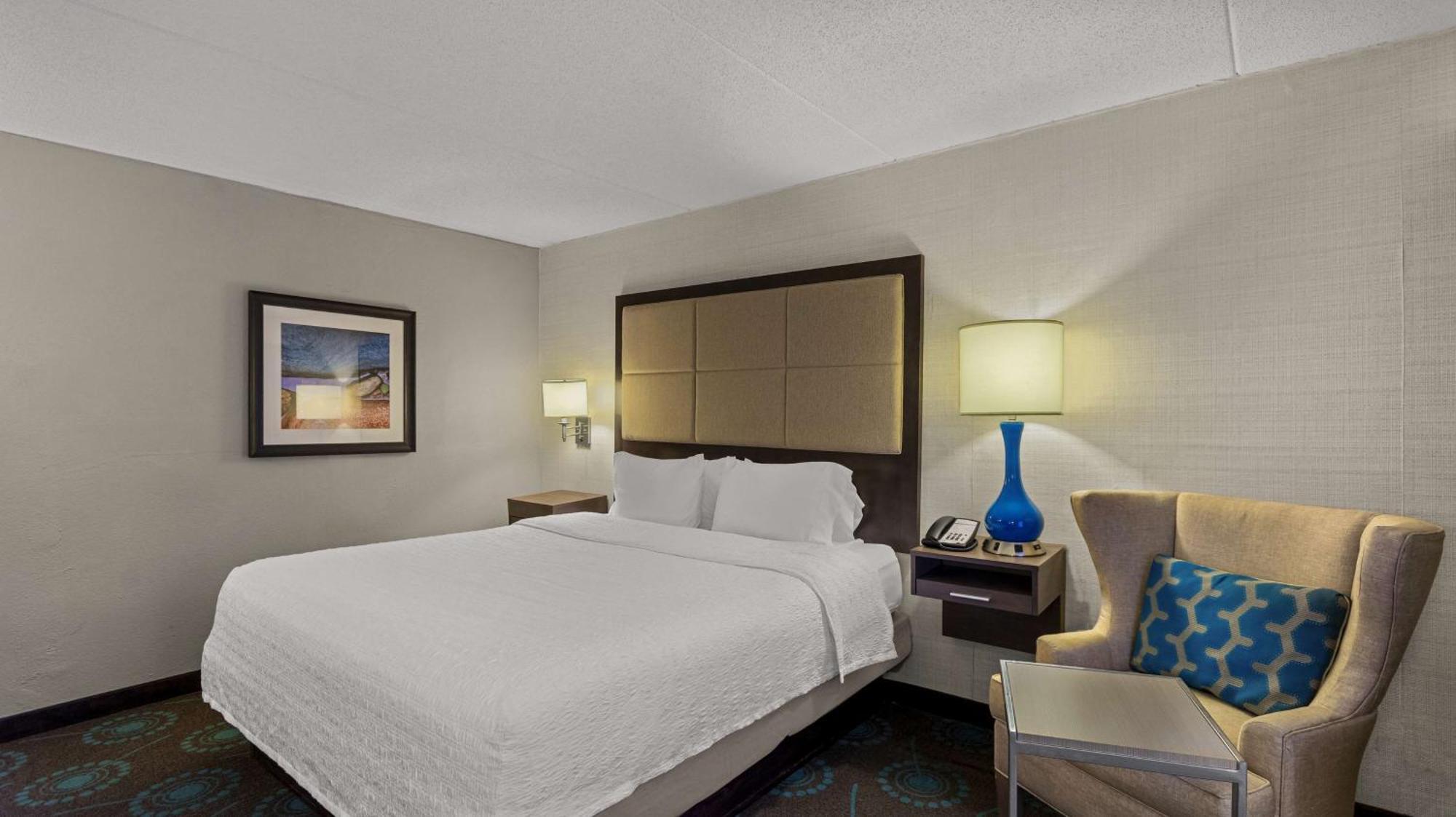 Deluxe King Room - Non-Smoking,1705729515:JPEG